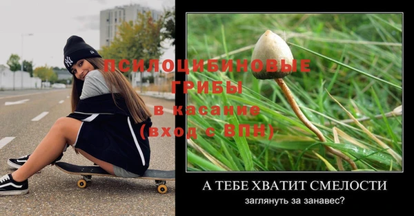эйфоретик Сосновый Бор
