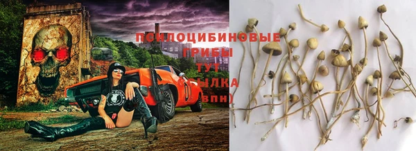 гашик Богородицк