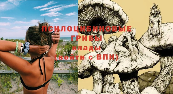 бутират Белокуриха