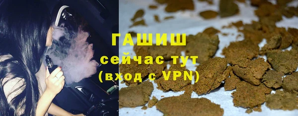 индика Сосновоборск