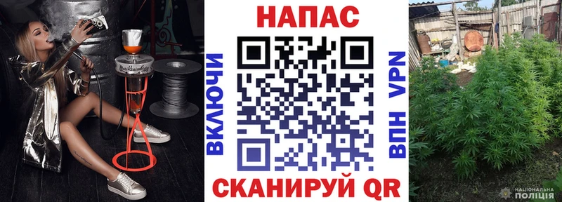 мориарти официальный сайт  где найти наркотики  Гай  Канабис SATIVA & INDICA 